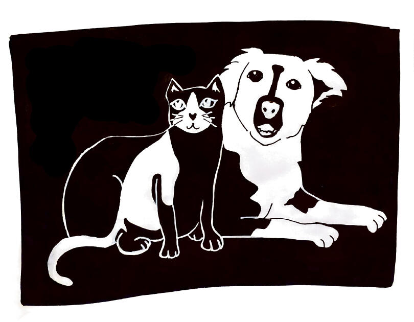 Cat & Dog - Black & White Illustration